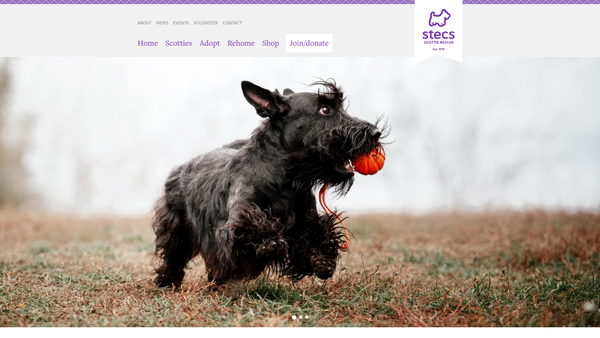 Screenshot of the Scottish Terrier Emergency Care Scheme website
