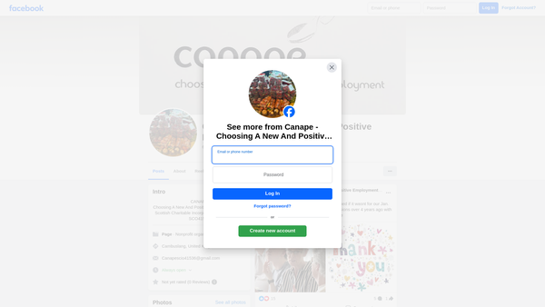 Screenshot of the CANAPE Choosing a New and Positive Employment SCIO website