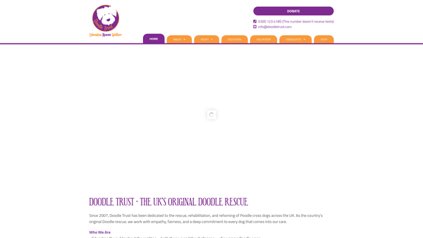 Screenshot of the Doodle Trust website