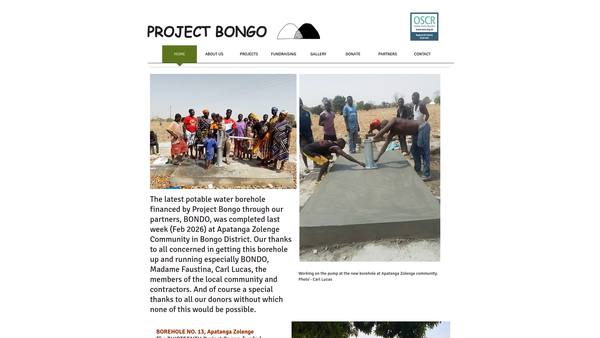 Screenshot of the Project Bongo website