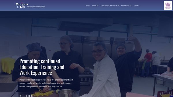 Screenshot of the Options in Life website
