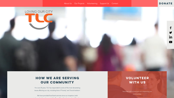 Screenshot of the Tlc SCIO website