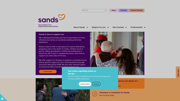 Screenshot of the Sands Charity website
