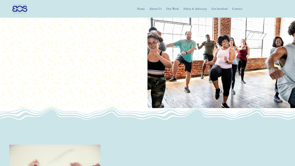 Screenshot of the British Obesity Society website