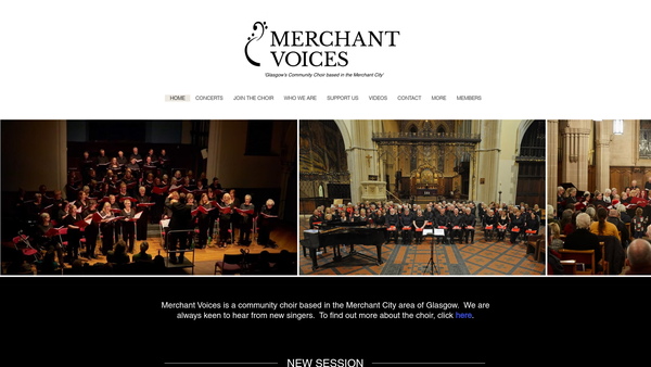 Screenshot of the Merchant Voices website