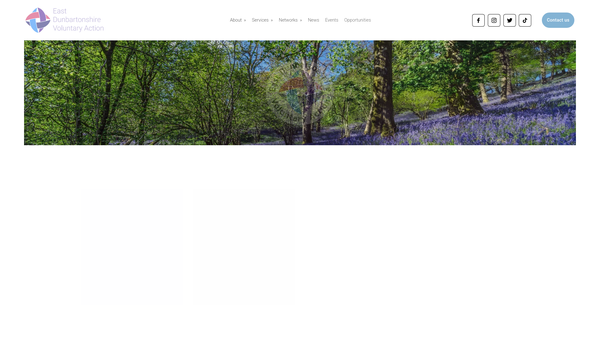 Screenshot of the East Dunbartonshire Voluntary Action website