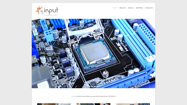 Screenshot of the Input website