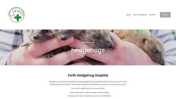 Screenshot of the The Hedgehog Hospital website
