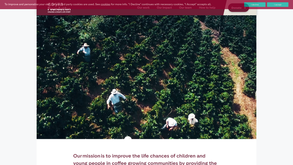 Screenshot of the The Costa Foundation website