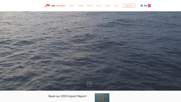 Screenshot of the Sea-Changers website