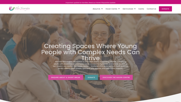Screenshot of the Elsie Normington Foundation website