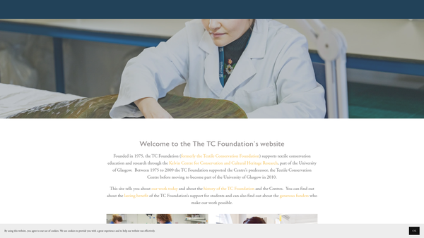 Screenshot of the The TC Foundation website