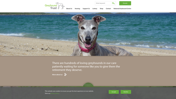 Screenshot of the Greyhound Trust website