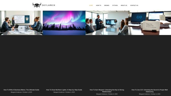 Screenshot of the Skylark IX Recovery Trust website