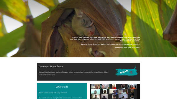 Screenshot of the Bats without Borders website