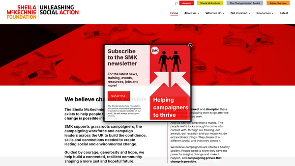 Screenshot of the The Sheila McKechnie Foundation website