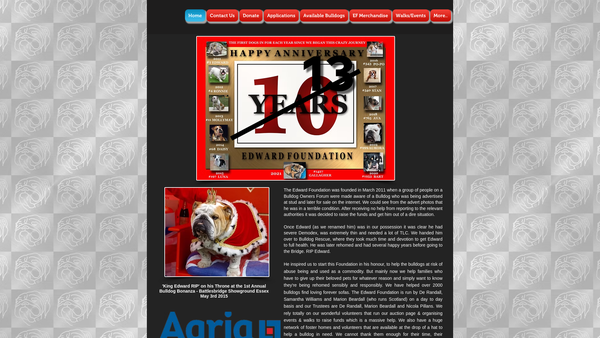 Screenshot of the The Edward Foundation website