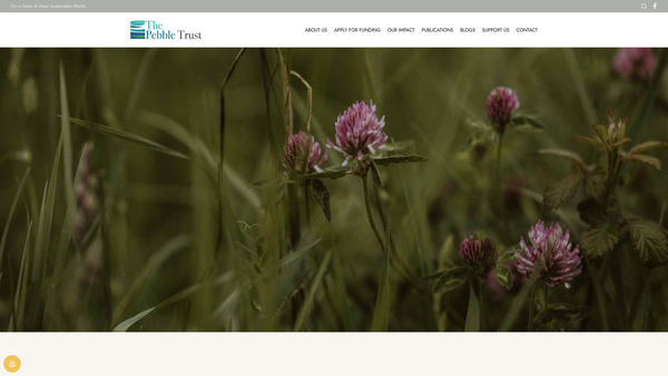 Screenshot of the The Pebble Trust website
