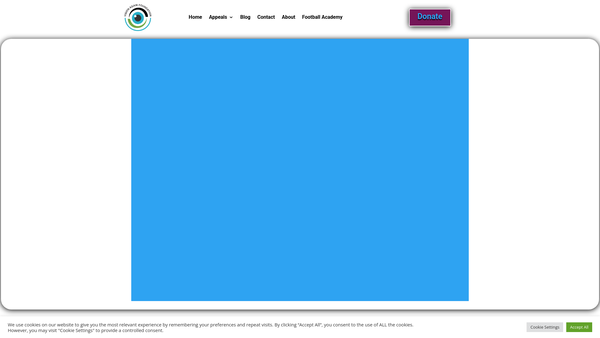 Screenshot of the Vision Again Foundation website