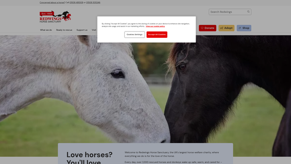 Screenshot of the Redwings Horse Sanctuary website