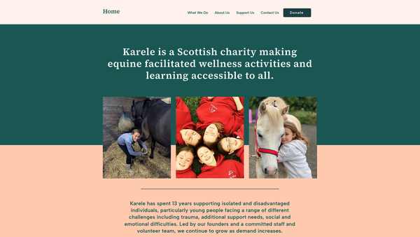 Screenshot of the Karele Ltd website