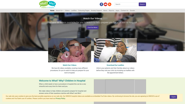 Screenshot of the What? Why? Children in Hospital website