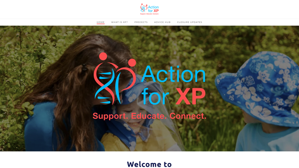 Screenshot of the Action for XP website