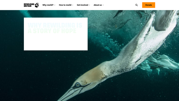 Screenshot of the Rewilding Britain website