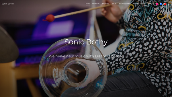 Screenshot of the Sonic Bothy website