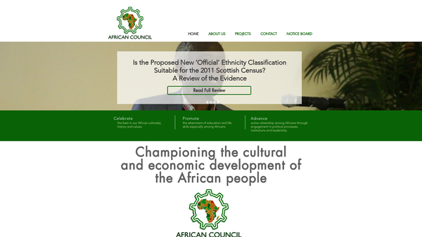 Screenshot of the African Council Limited website