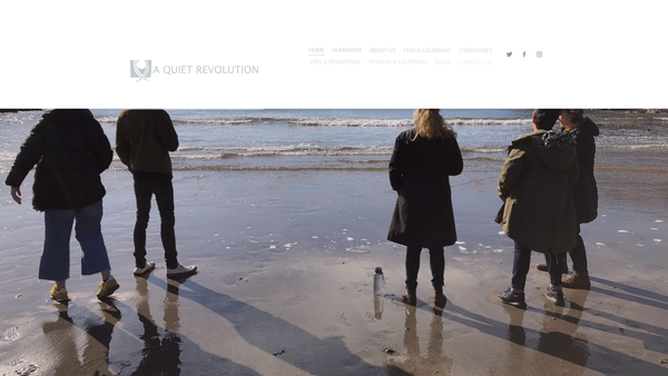 Screenshot of the A Quiet Revolution website