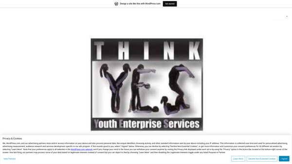 Screenshot of the Think Youth Enterprise Services website