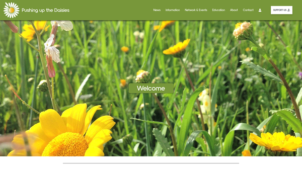 Screenshot of the Pushing Up The Daisies website