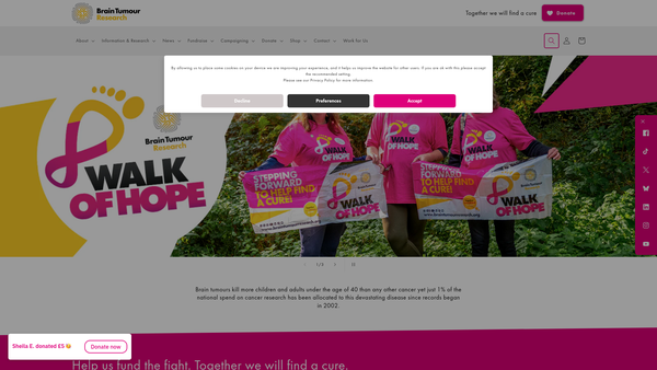 Screenshot of the Brain Tumour Research website