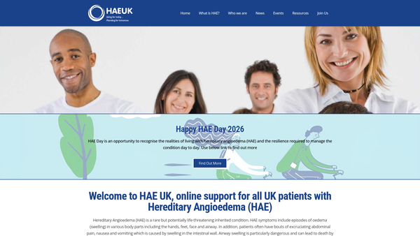 Screenshot of the Haeuk website