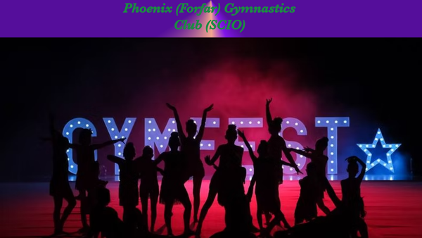 Screenshot of the Phoenix (Forfar) Gymnastics Club website