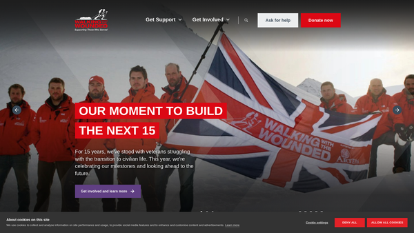 Screenshot of the Walking with the Wounded website