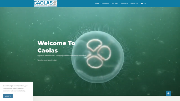 Screenshot of the Community Association of Lochs and Sounds SCIO website