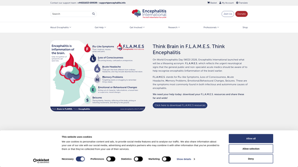 Screenshot of the Encephalitis International website