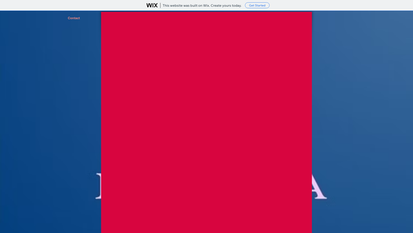 Screenshot of the Dundonald Community Sports, Recreation and Heritage Association website