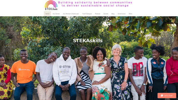 Screenshot of the STEKAskills website