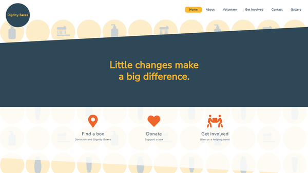 Screenshot of the Dignity Boxes website