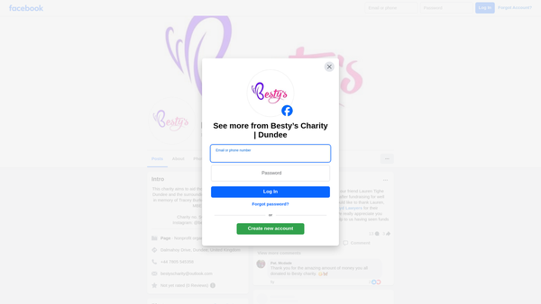 Screenshot of the Besty's website