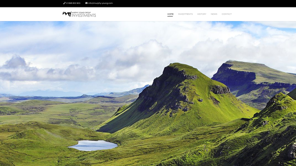 Screenshot of the Murphy Young Foundation website