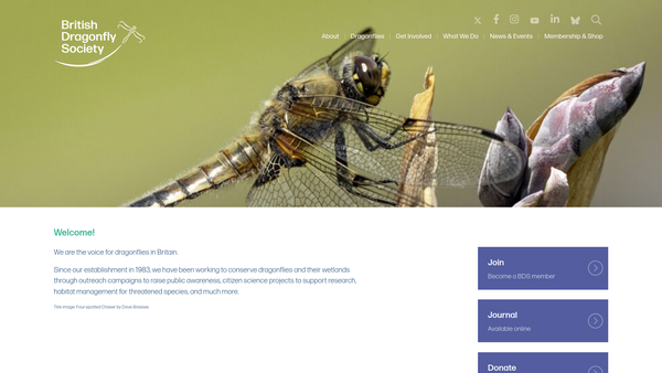 Screenshot of the British Dragonfly Society website