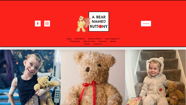 Screenshot of the A Bear Named Buttony website