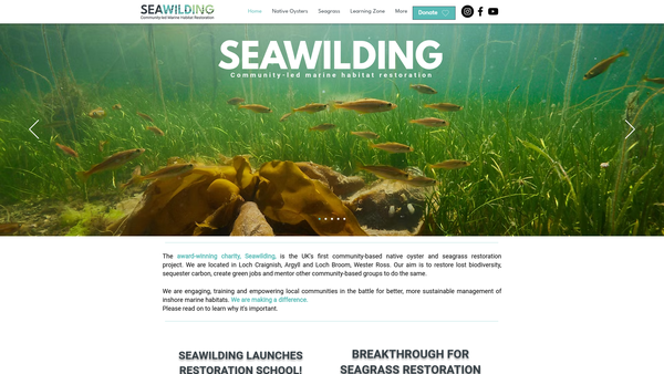 Screenshot of the Seawilding website
