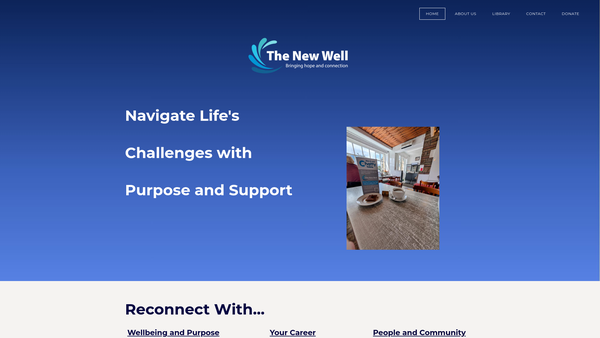 Screenshot of the The New Well website