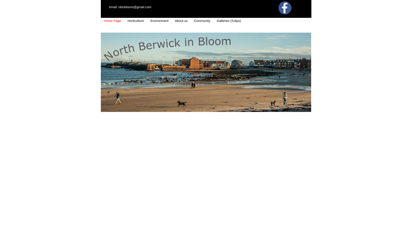 Screenshot of the North Berwick in Bloom website
