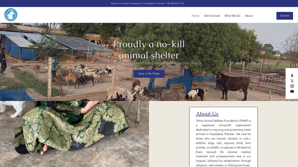 Screenshot of the Tahira Animal Welfare Foundation website